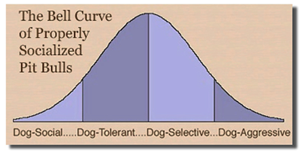 curve