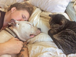 Owner with Matzo laying in bed next to the cat