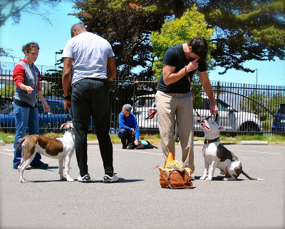 Matzo and his owner at training school