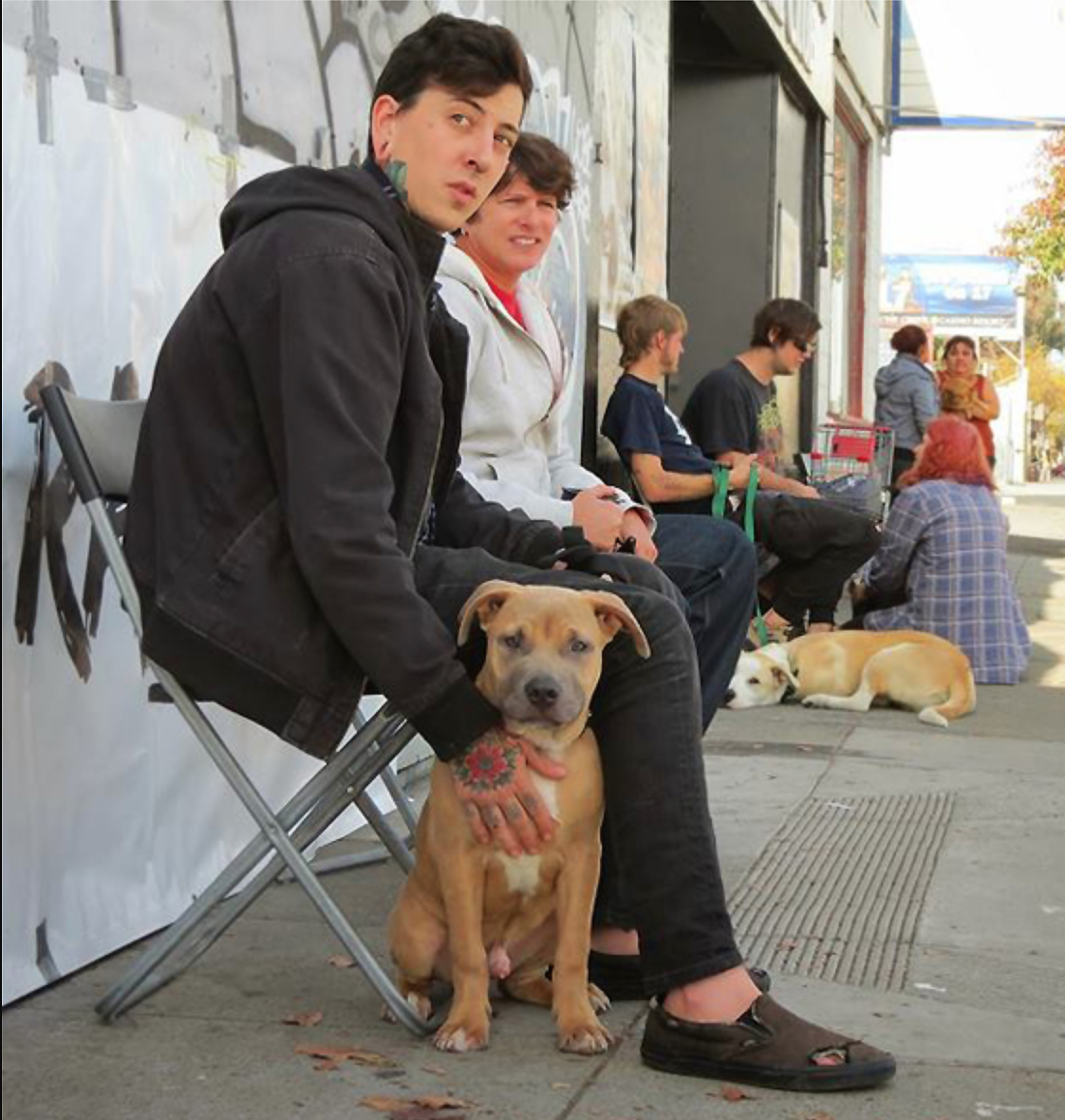 Good Samaritan Support = Safe, healthy dogs