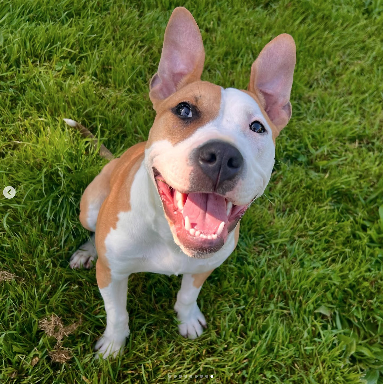 Tyson
