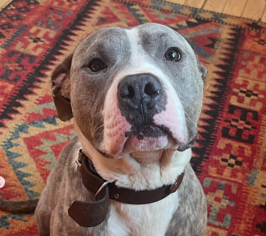 Gentleman Owen