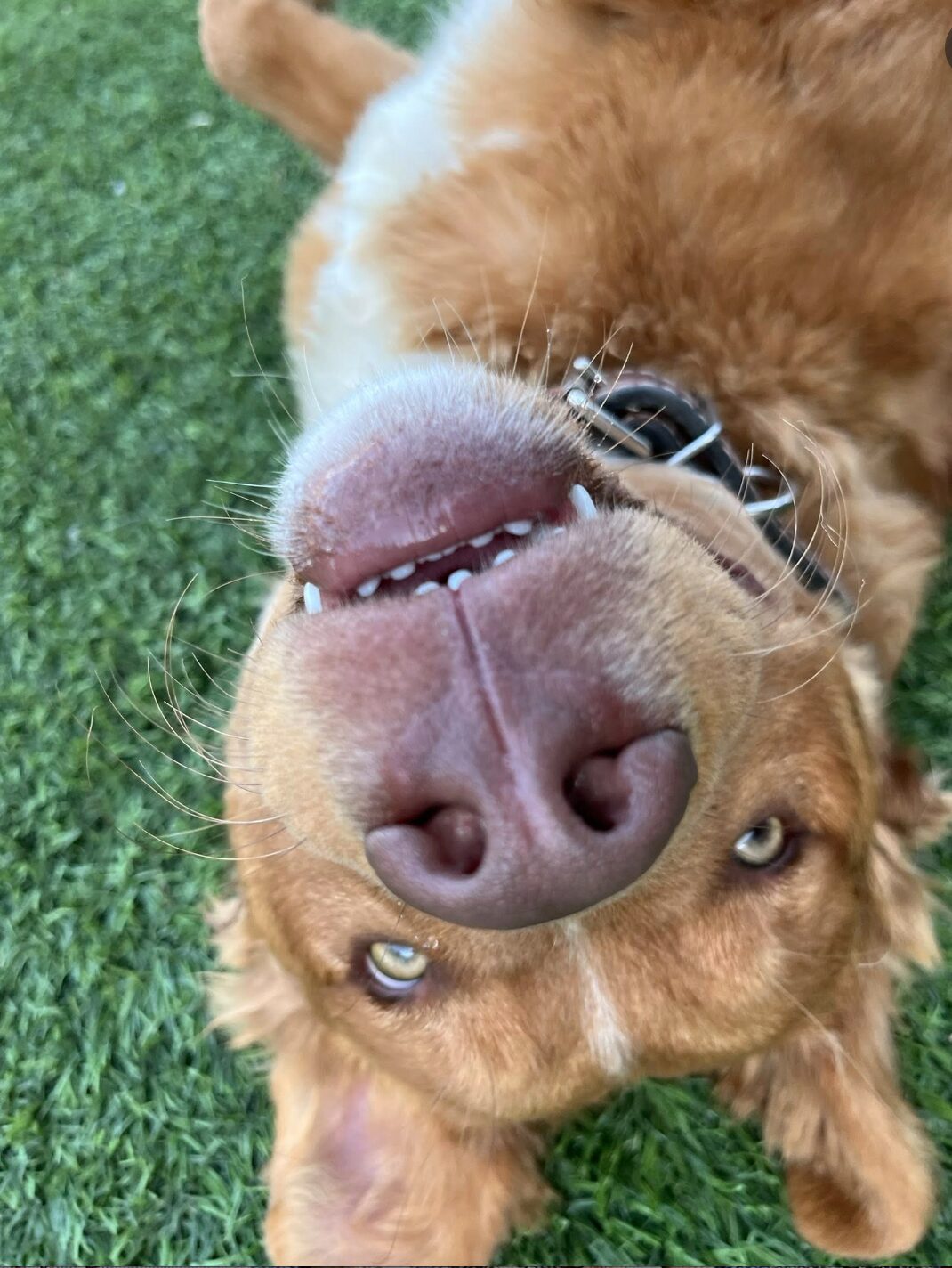 Screen Shot 2025-10-14 at 3.34.08 PM